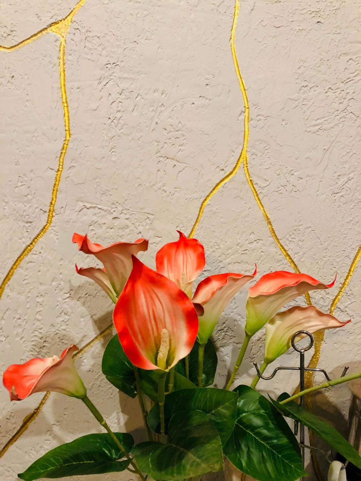Ella Brown House酒店 外观 照片