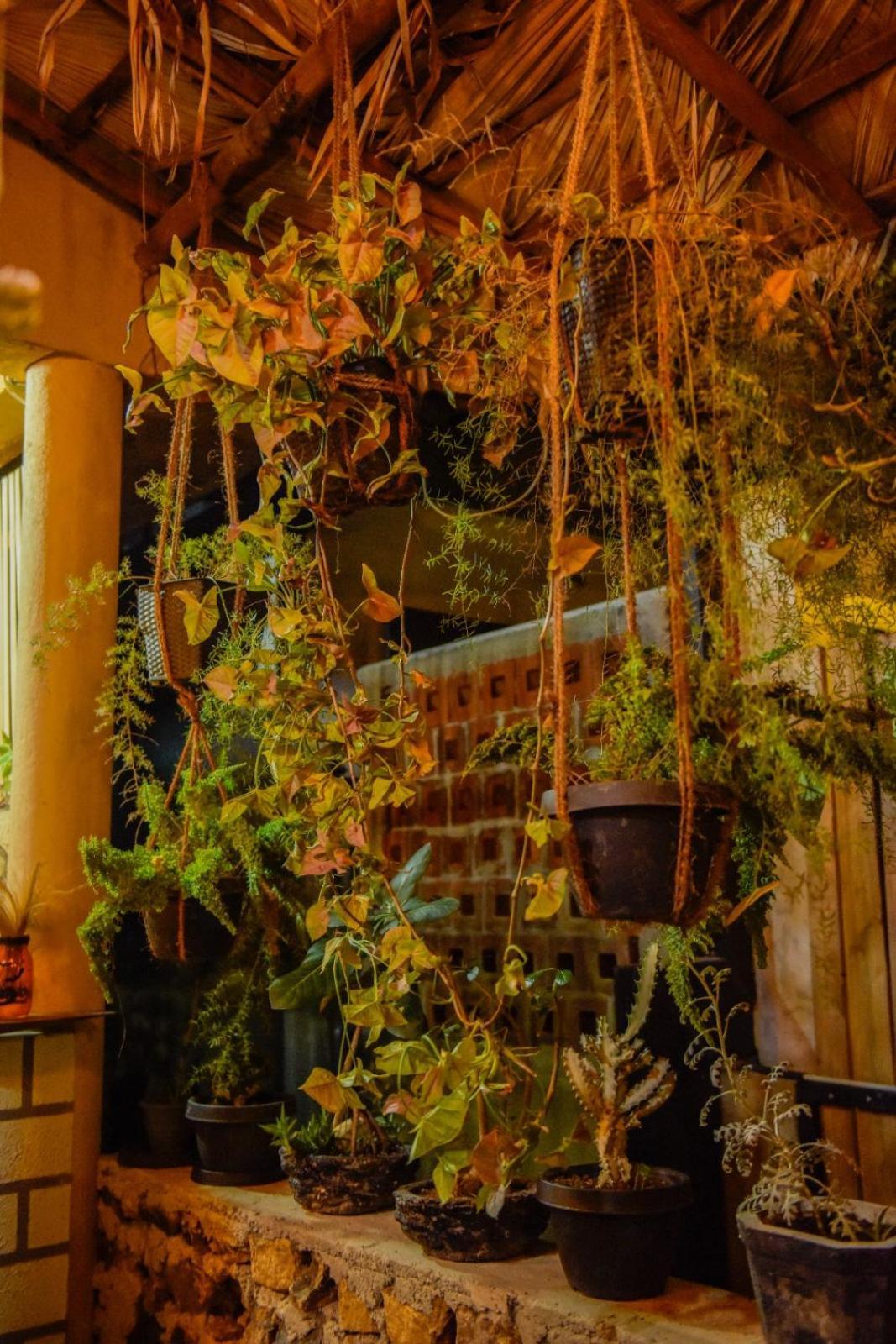 Ella Brown House酒店 外观 照片